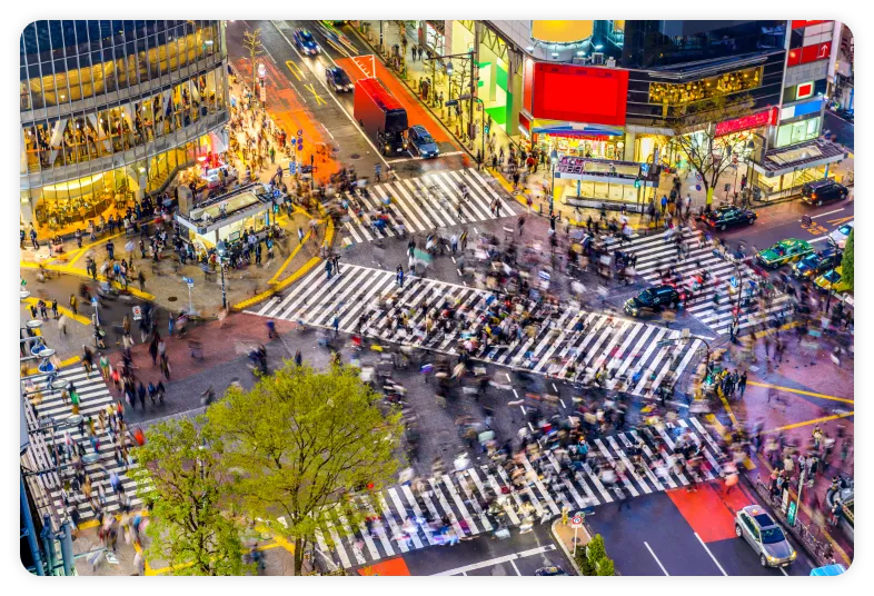 Explore Cities! Embrace Nature!