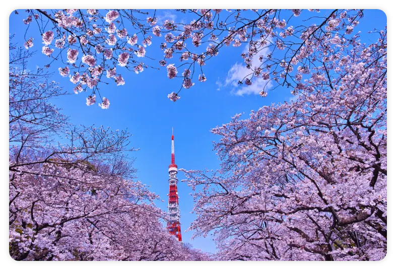 Explore Cities! Embrace Nature!