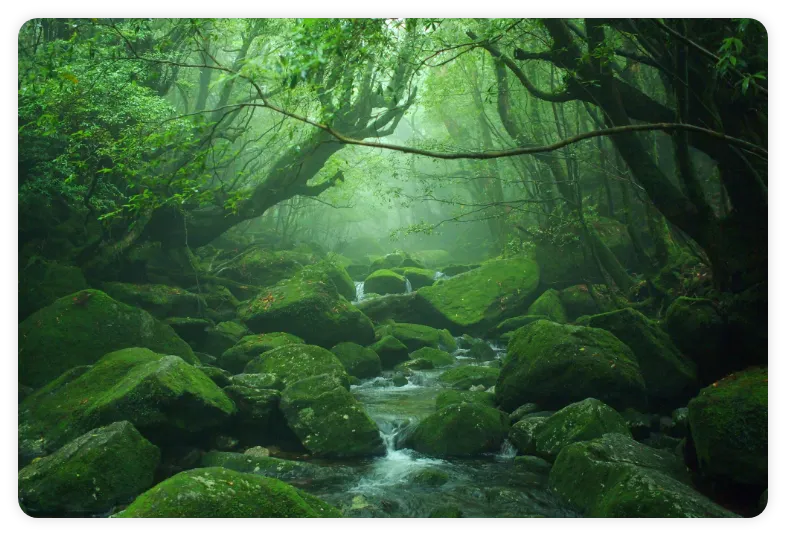 From North to South, Across Japan!