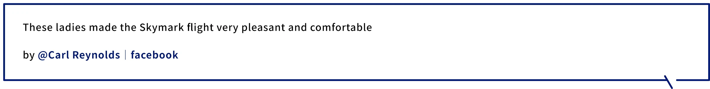 Passenger Experiences with Skymark Airlines