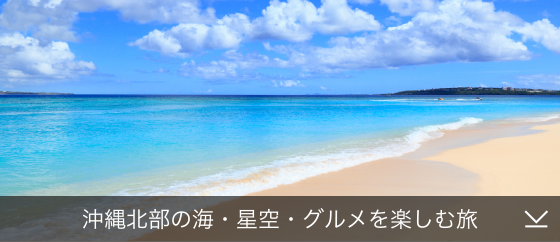 沖縄北部の海・星空・グルメを楽しむ旅