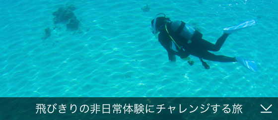 飛びきりの非日常体験にチャレンジする旅