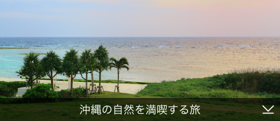 沖縄の自然を満喫する旅