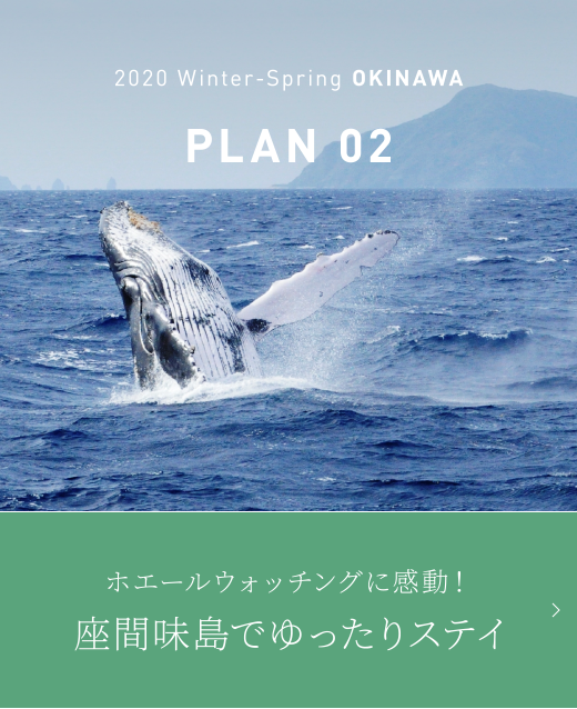 2020 winter-spring OKINAWA PLAN02 ホエールウォッチングに感動！座間味島でゆったりステイ