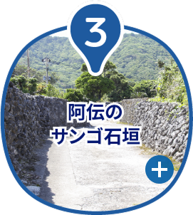 阿伝のサンゴ石垣