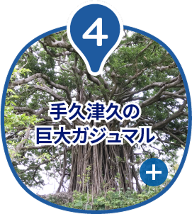 手久津久の巨大ガジュマル