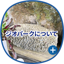 ジオパークについて