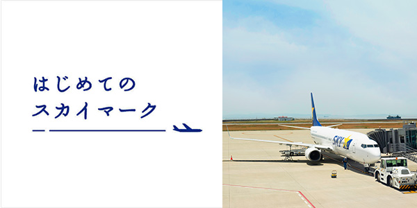 はじめてのスカイマーク