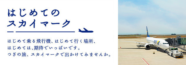 はじめてのスカイマーク