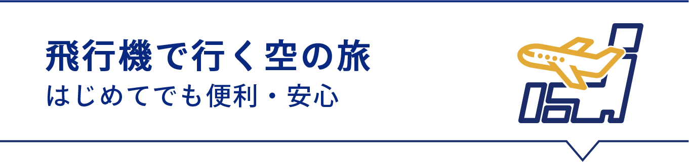 飛行機で行く空の旅 はじめてでも便利・安心