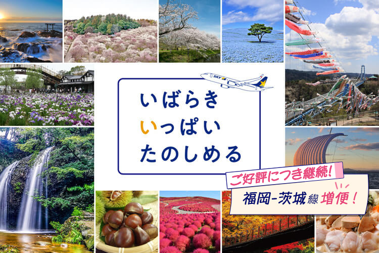 いばらきいっぱいたのしめる 【ご好評につき継続!】福岡ー茨城線 増便!