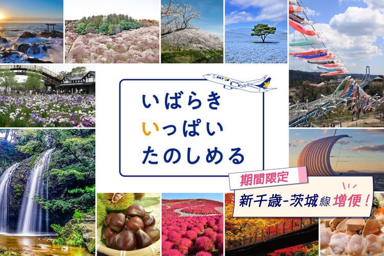 いばらきいっぱいたのしめる【期間限定】新千歳ー茨城線 増便！