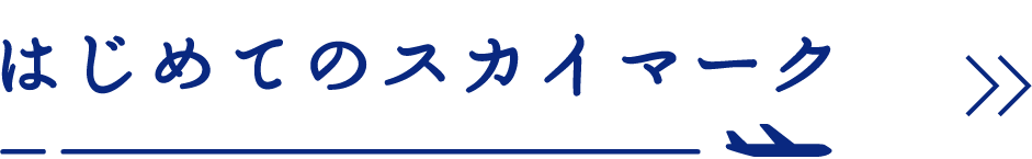 はじめてのスカイマーク