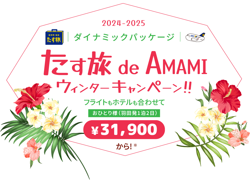 たす旅 de AMAMI ウィンターキャンペーン!! フライトもホテルも合わせてお一人様（羽田発1泊2日）31,900円から！