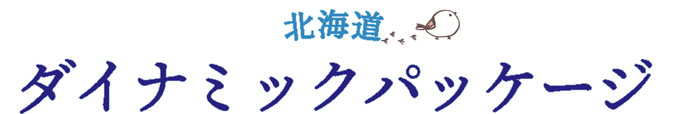 北海道ダイナミックパッケージ