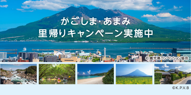 公式】スカイマーク SKYMARK｜航空券予約・空席照会・運賃一覧