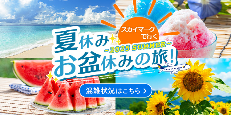 公式】スカイマーク SKYMARK｜航空券予約・空席照会・運賃一覧