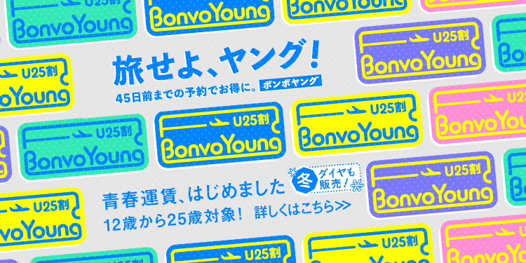 公式】スカイマーク SKYMARK｜航空券予約・空席照会・運賃一覧